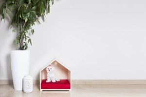 Thiết kế đồ nội thất đa chức năng